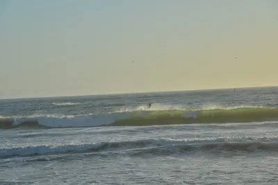 DSC_7275 (Large).JPG